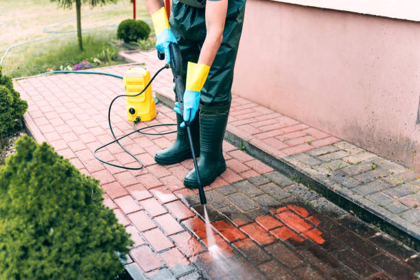 Best Fence Cleaning  in Cedar Glen Lakes, NJ