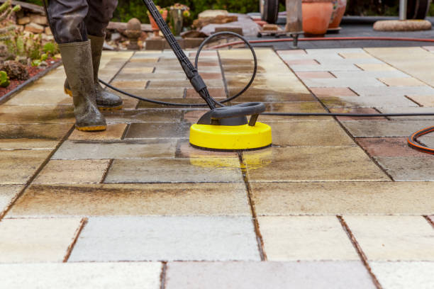 Best Solar Panel Cleaning  in Cedar Glen Lakes, NJ